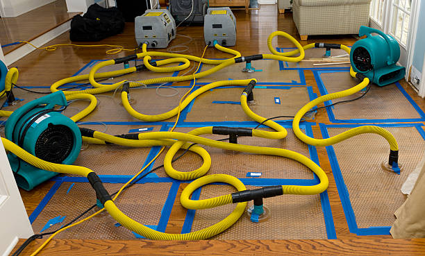 Professional Water Damage Repair technician working in Kinsman, IL